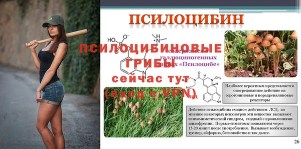 гашиш Вяземский