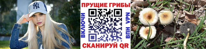 Галлюциногенные грибы мухоморы сколько стоит Оханск